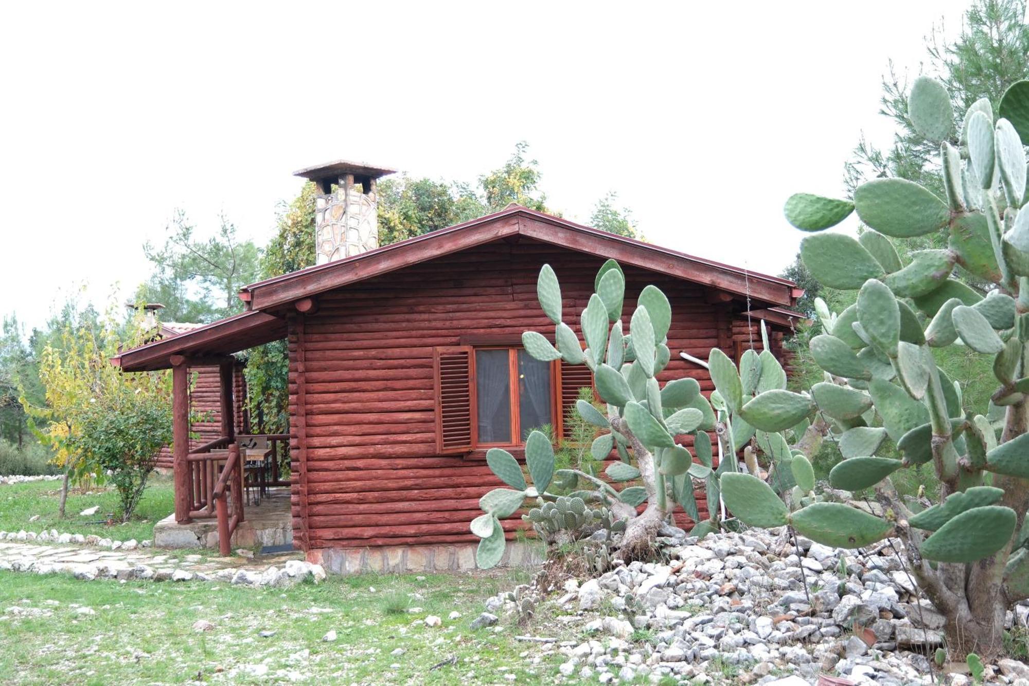 Antalya Bodrum Kayasi Dag Oteli Hasdumen Exterior foto